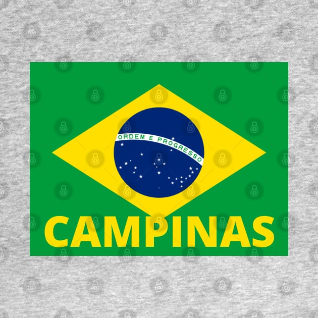 Campinas City in Brazilian Flag by aybe7elf